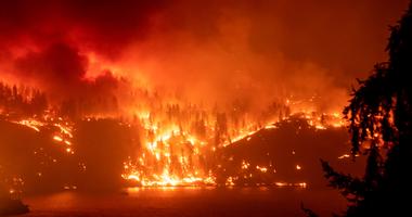Forest fire burning
